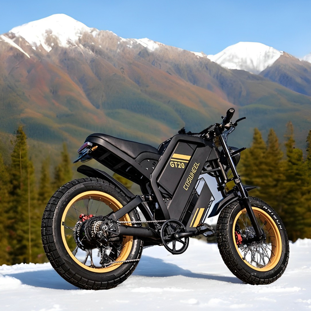 Motorcycle Gear Online - Coswheel Electric bike for Adult 2000W