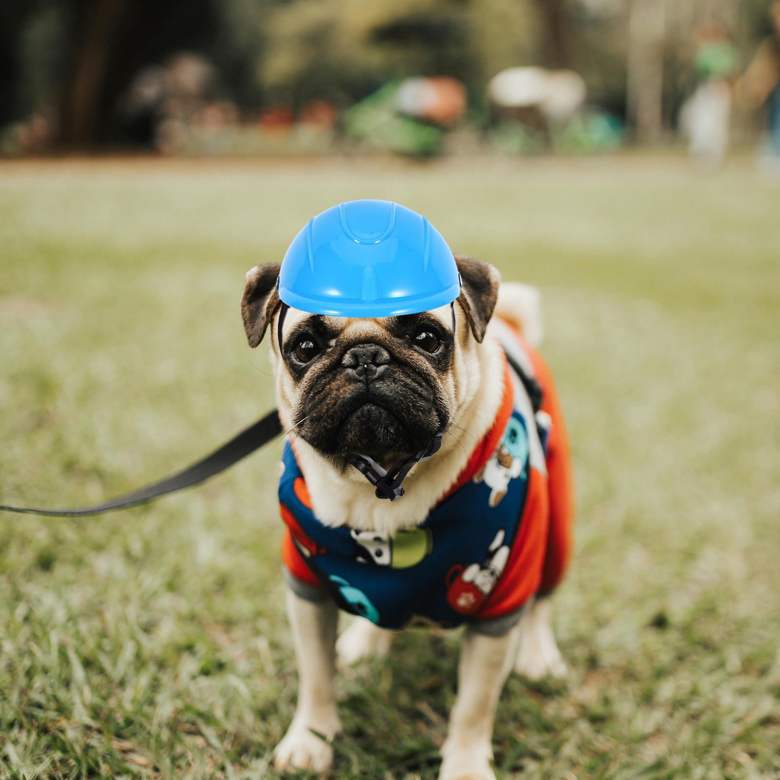 Small Dog Adjustable Protectiv - Motorcycle Gear Dogs ulasan dan harga
