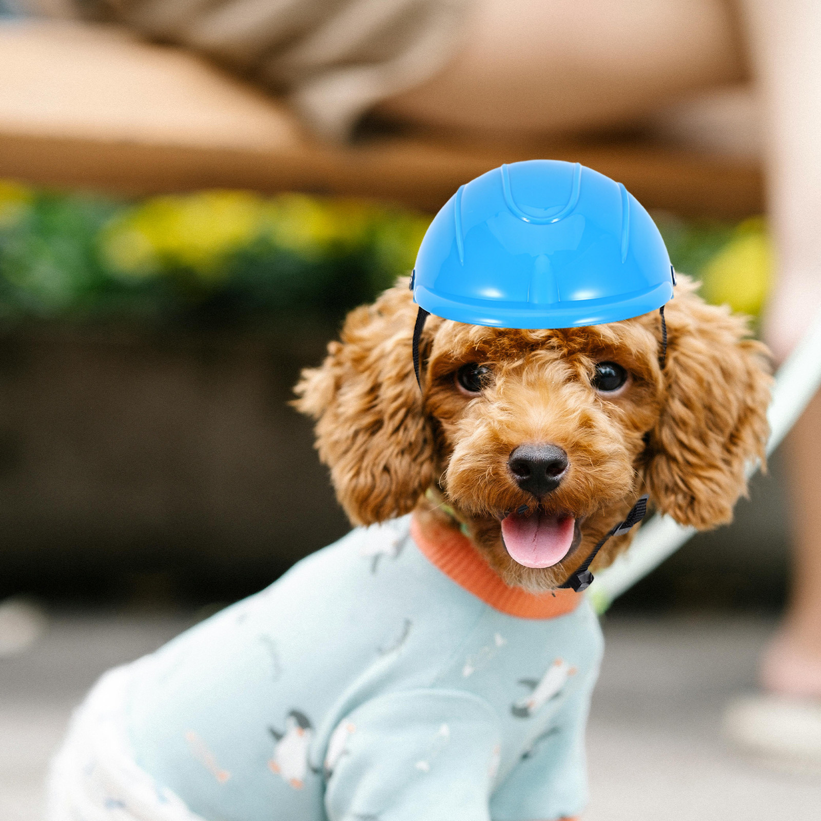 Small Dog Adjustable Protectiv - Motorcycle Gear Dogs ulasan dan harga