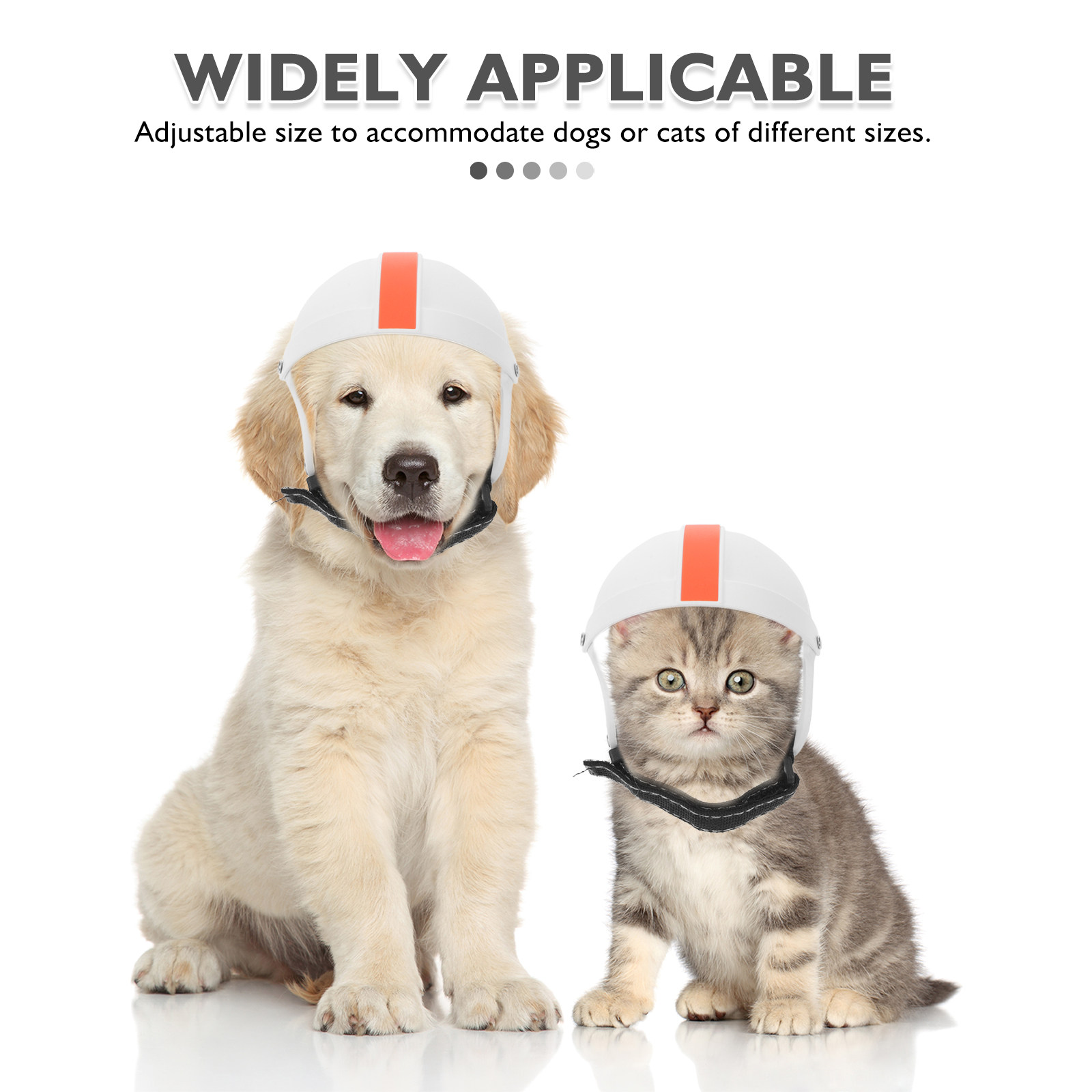 Small Medium Dog Cat Motorcycl - Motorcycle Gear Dogs ulasan dan harga