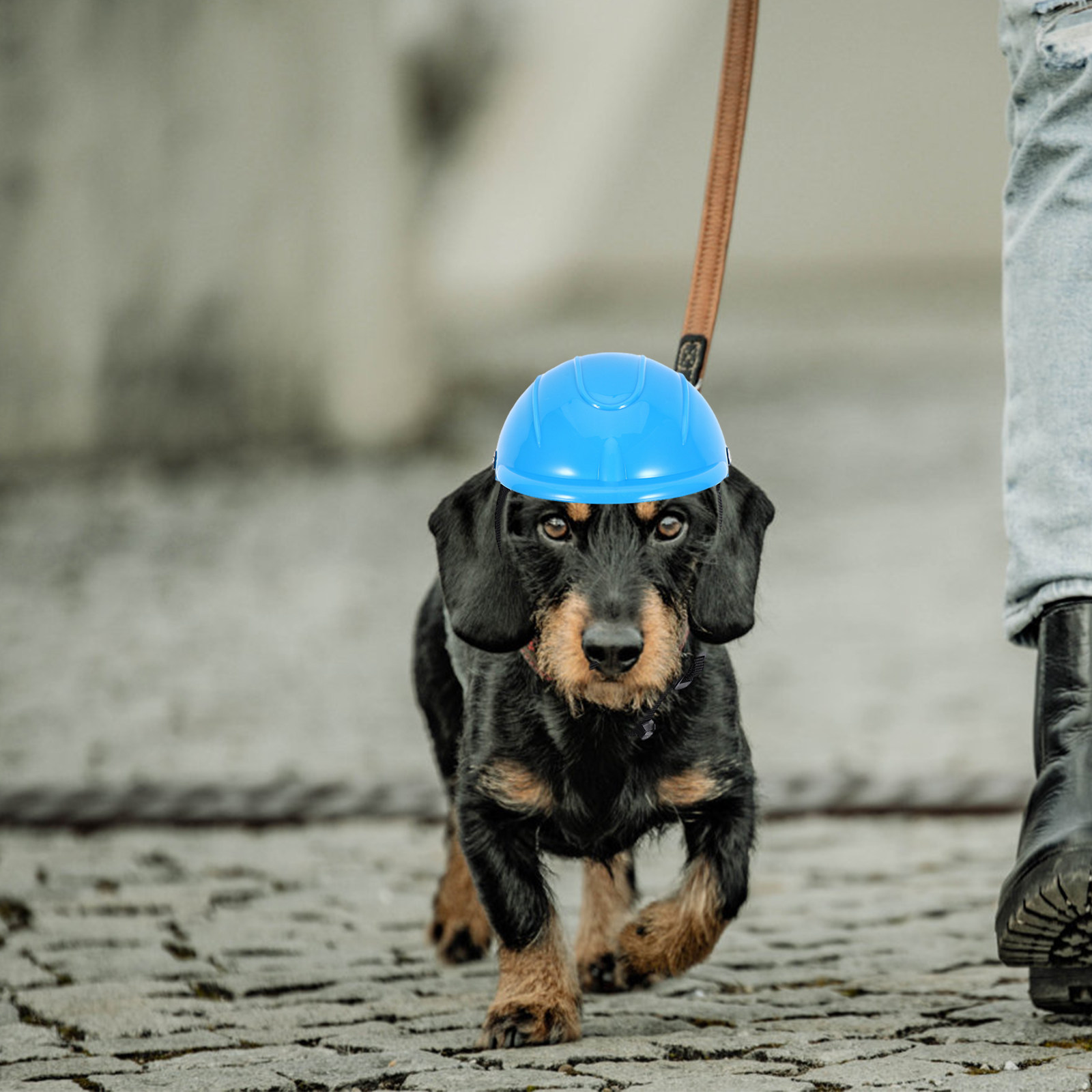 Small Dog Adjustable Pet Safet - Motorcycle Gear Dogs ulasan dan harga